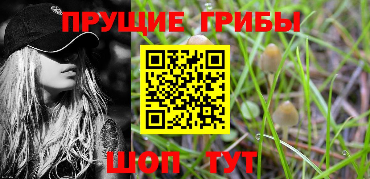 Оренбург  Галлюциногенные грибы Magic Shrooms  Вход с VPN 