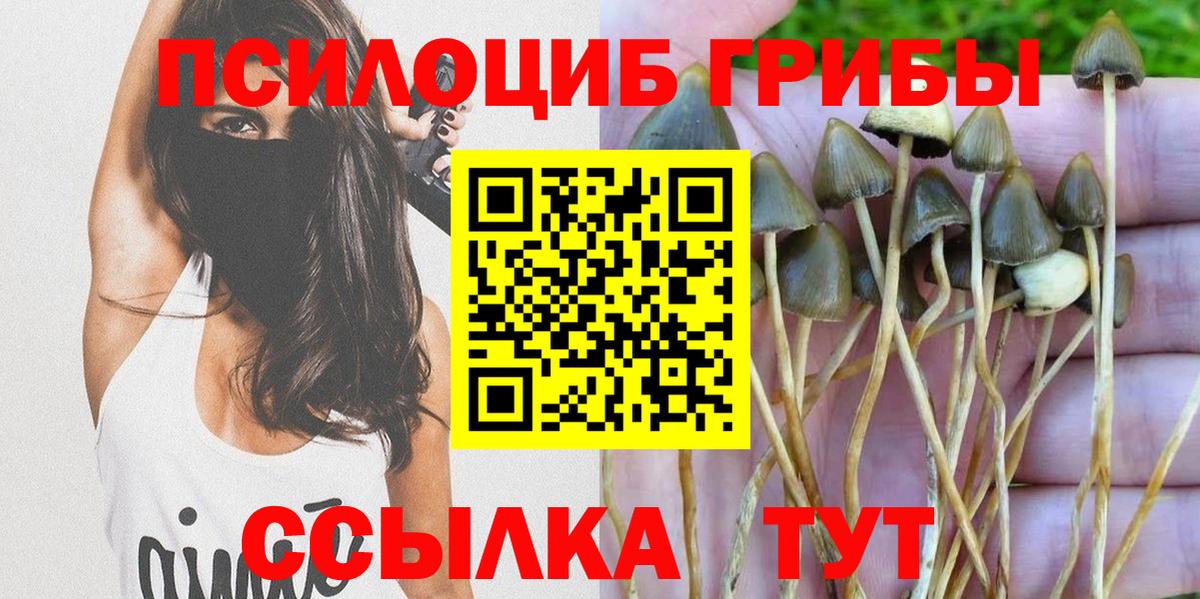 Галлюциногенные грибы мухоморы Оренбург